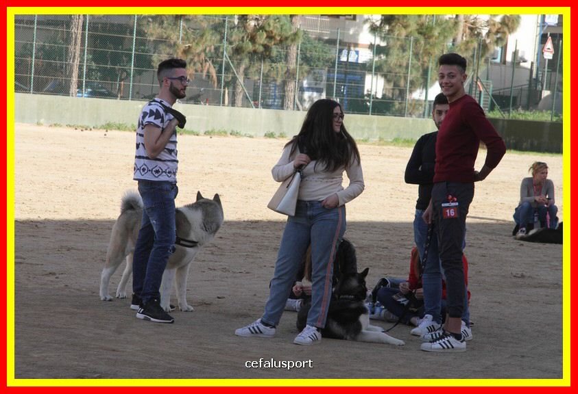 180311 mostra_canina 009.jpg